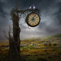 STBB # 442 ( Waiting)