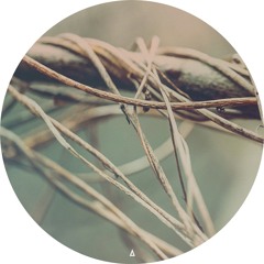 Snufmumriko - Mukul | Warmth Remix