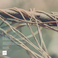 Snufmumriko - Driftwood
