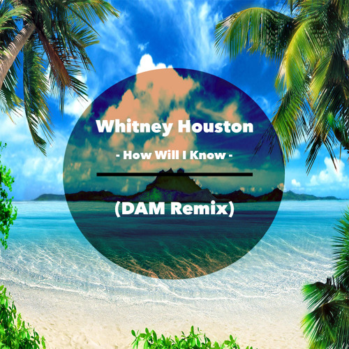How Will I Know (DAM Remix) **Free Download**
