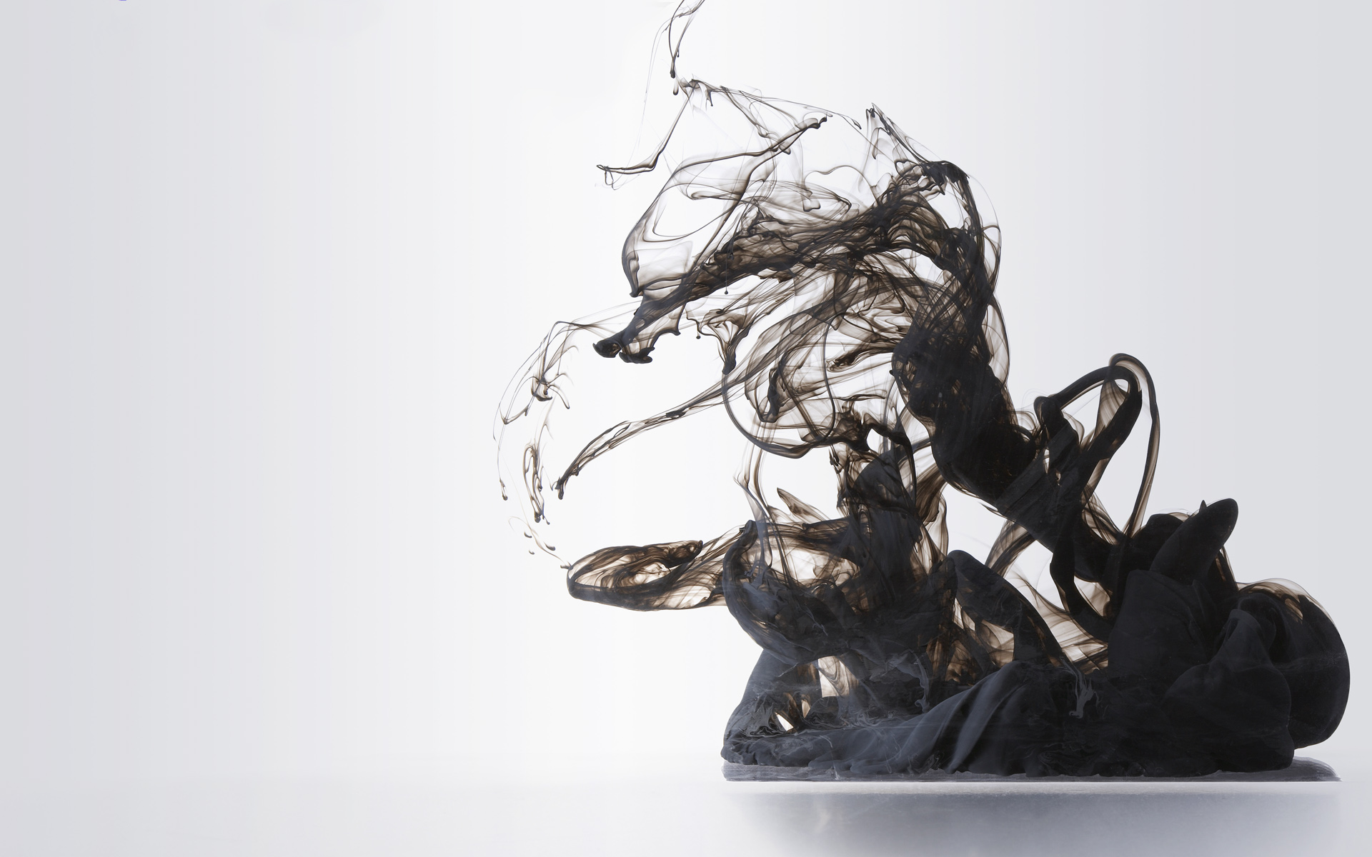 توماس شيلبي Glimmer Of Blooms I Can T Get You Out Of My Head Lyrics Youtube