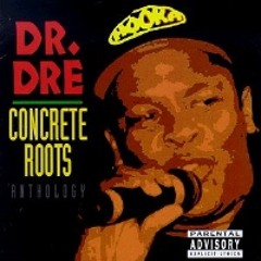 01 Concrete Roots