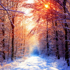 Factor B & Vincent Vega Pres: Sounds Of The Sunlight - Winter Solstice 2015