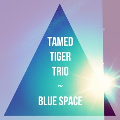 Blue Space Demo 2015