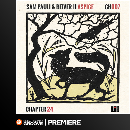 Premiere: Sam Pauli & Reiver - Aspice (Paul Nolan's Look To The Universe Edition) (Chapter 24)