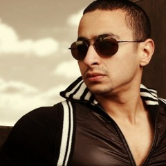 Hamada.Helal_Mesh.Mesd2