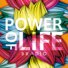 BRADIO - Spicy Madonna
