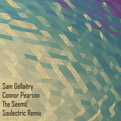 Sam Gellaitry x Connor Pearson - The Seems (Soulectric Remix)