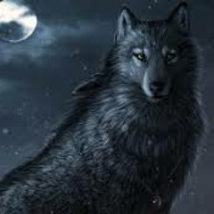 Muestra Albun Lobo Solitario