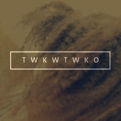 TheVisionSeeker ft. Aimée - TWKWTWKO
