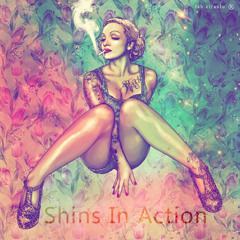 Shins In Action - ( sample )