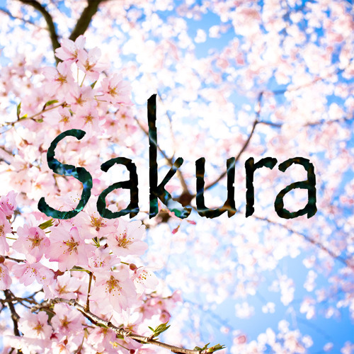 Sakura