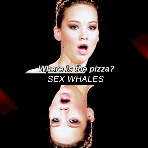 Sex Whales - Where Is The Pizza