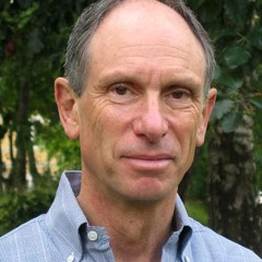Joseph Goldstein