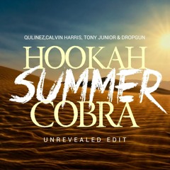 Qulinez, Calvin Harris, Tony Junior & Dropgun - Hookah Summer Cobra (Unrevealed Edit)