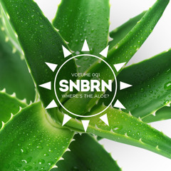 Afroman - Colt 45 (SNBRN Remix)