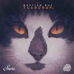 Bastian Bux - Tempus Fugit