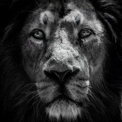 Black Renegade Presents "Come Around" Doobie x Munch x Pank [prod by Donato Beats]