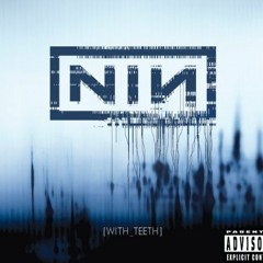 Nine Inch Nails - Every Day Is Exactly The Same (Instrumental Cover)