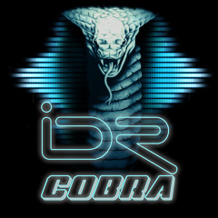 iDR - Cobra (Original Mix)