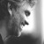 Artwork for Andrea Bocelli - Con Te Partiro