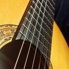 Nouveau Flamenco Blues
