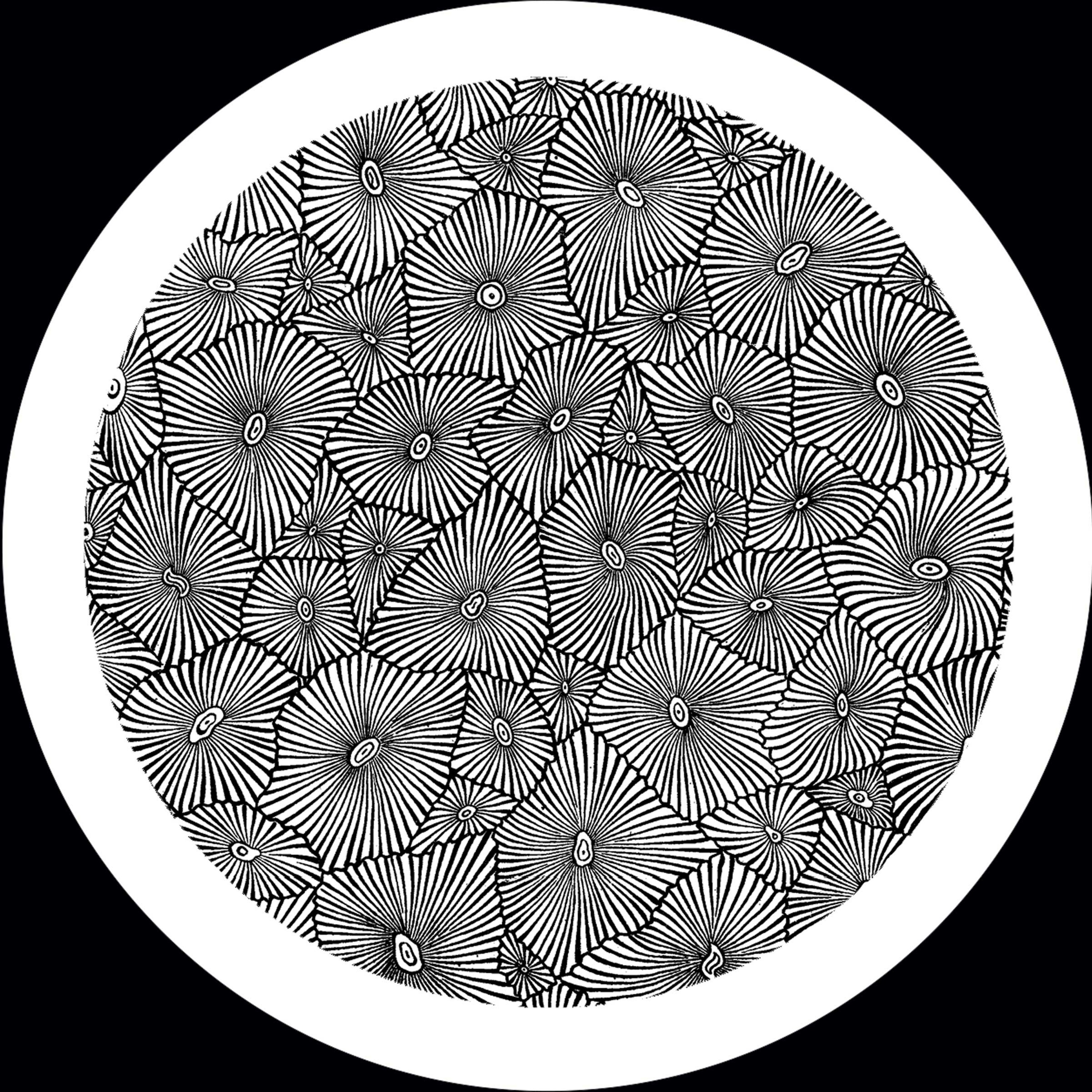 Versatile Records