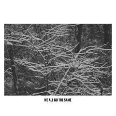 We All Go the Same (Radical Face Cover)