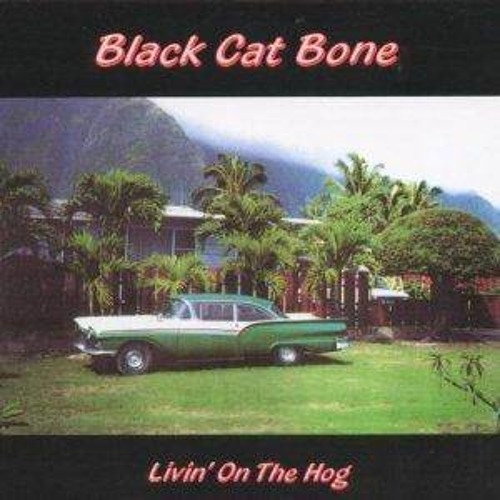 Black cat bone. Black Cat Bones - the long Drive. Black Cat Bone - Black Cat Bone 2024.