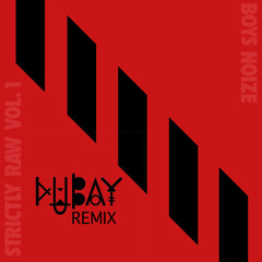 Cerebral - Boys Noize & Pilo ( DUBAY Remix)