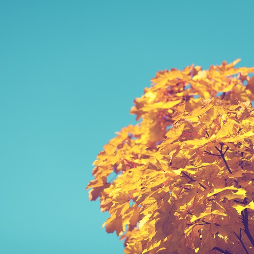 Король И Шут (КиШ) - Похороны Панка