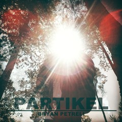 Bryan Petreli - Partikel