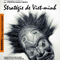 Strategie De Viet - Minh