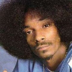 Snoop Dogg/Lady Of Rage Afro Puffs Remixed