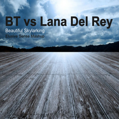 BT vs Lana Del Rey - Beautiful Skylarking (Elusive Sense Mashup)