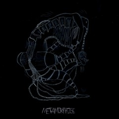 Der Tanz [METAMORPHOSE LP OUT NOW] !