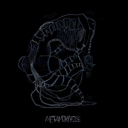 Der Tanz [METAMORPHOSE LP OUT NOW] !