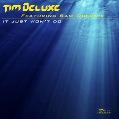 Tim Deluxe - It Just Won't Do (Neng Edit)