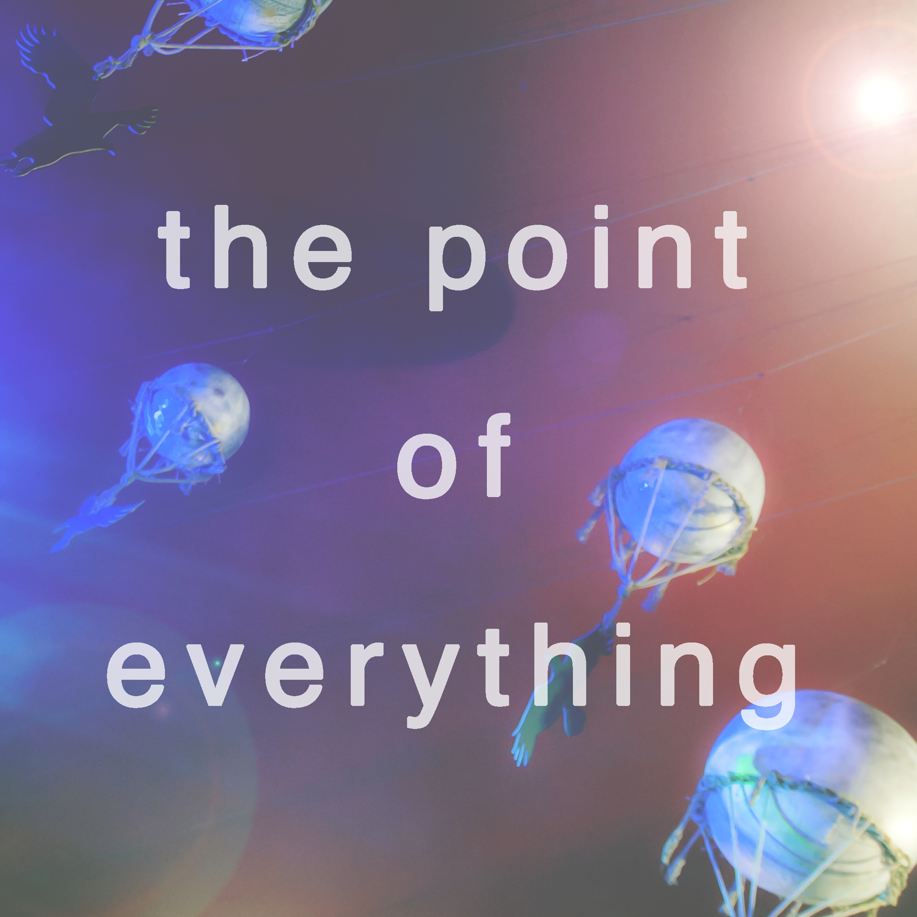 The Point Of Everything #6: Brilliant Irish Bands, Brilliant Cork Gigs, and Tyler Talk episode artwork