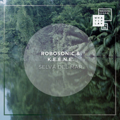 Robosonic, K.E.E.N.E. - Fever (Original Mix)- Snip