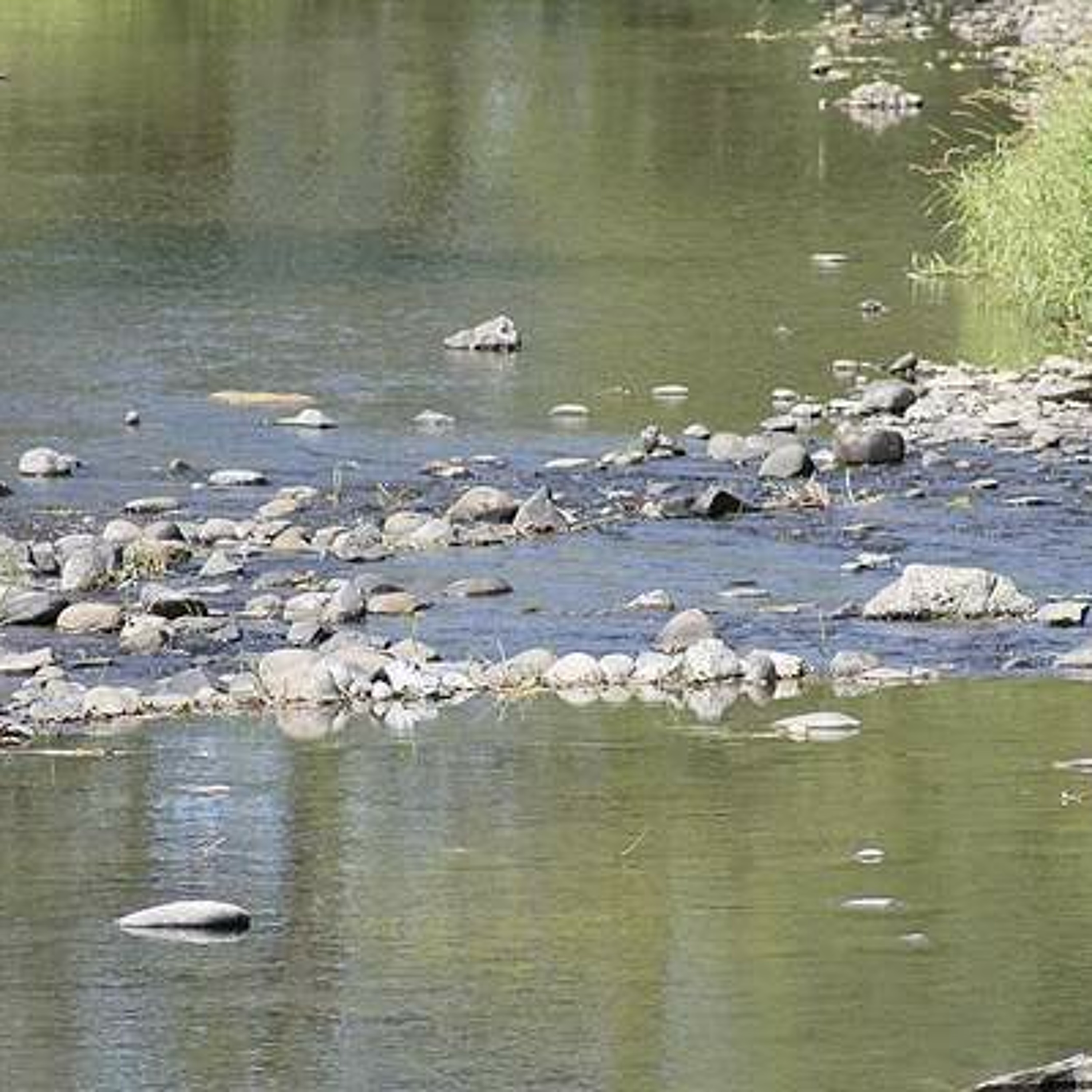 Climatologists forecast brief break in the heat. Ag Minute Aug 31, 2015