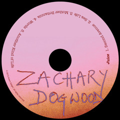 Zachary Dogwood 'Juice' EP Preview