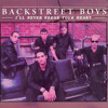Backstreet Boys - I'll Never Break Your Heart (Instrumental Cover)