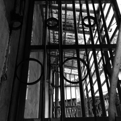 Revenge is a dish best served cold(Shinken project demo)