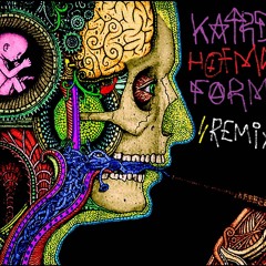 Hofmann //FORMI//REMIX//