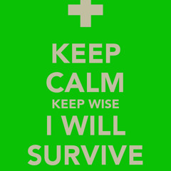 I Will Survive(instrumental With Bass)