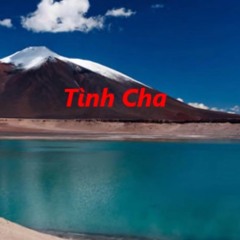 Tình Cha - Ngọc Sơn