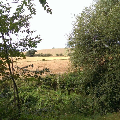 Stream The King Of Carrot Flowers Part 1 by Onandon Listen online for