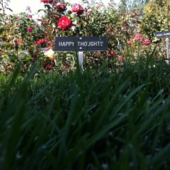 ADN (Attention Deficit Nation)