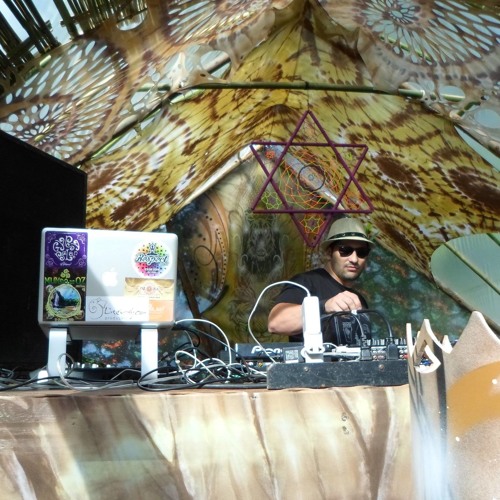 Minimalogic - Psychedelic Dub Mixes